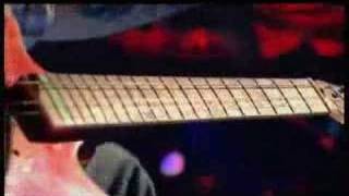 Seasick Steve LIVE ON JOOLS HOLLAND DOG HOUSE [upl. by Bang]