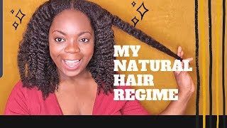 My natural hair regime 2019 [upl. by Anohs]