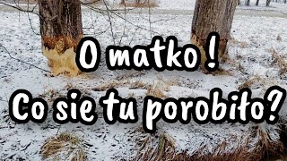 O matko Co sie tu porobiło [upl. by Irab]