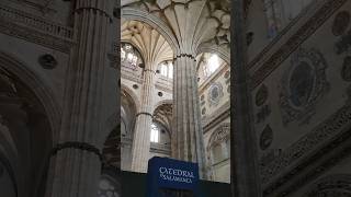 WALK in SALAMANCA❤️ with 𝕎𝕀ℕCHAN  𝑪atedral spain 4k catedral church travel salamanca [upl. by Im]