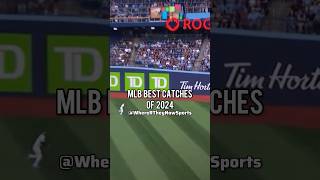 MLB Best Catches Of 2024 mlb catch sports [upl. by Bachman]