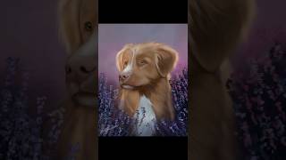 Procreate Pet Portrait procreatespeedpainting digitalportrait dogpainting [upl. by Iblehs]