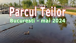 parcul teilor bucuresti seara apus [upl. by Atir6]