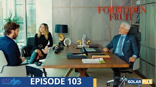 Forbidden Fruit Episode 103  FULL EPISODE  TAGALOG DUB  Turkish Drama [upl. by Anekam]