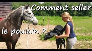 Comment seller le poulain   Débourrage de Clémence partie 6 [upl. by Lirbaj]