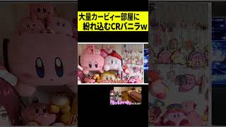 【唯一】カービィが大量にいる部屋の中に異彩を放つVanilLaが面白すぎたｗｗｗ shorts [upl. by Modnar663]