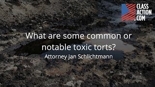 What Are Some Notable Toxic Torts [upl. by Lleryt]