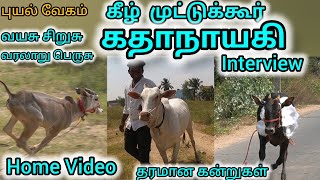 தரமான கன்றுகள் கீழ்முட்டுக்கூர் கதாநாயகி சிறப்பு நேர்காணல் Home video eruthukattu 2024 [upl. by Aifas]