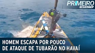 Tubarãotigre ataca caiaque e pescador escapa por pouco  Primeiro Impacto 150523 [upl. by Bryana]