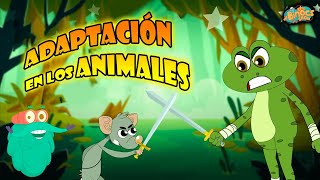 Adaptación De Los Animales  ¿Cómo Funciona La Adaptación En Los Animales  Ciencia Para Niños [upl. by Yhtir]