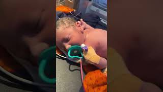 Just afterbirth newborn baby videos [upl. by Oren]