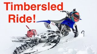 First Time on a Timbersled  Episode 204 [upl. by Hamitaf]