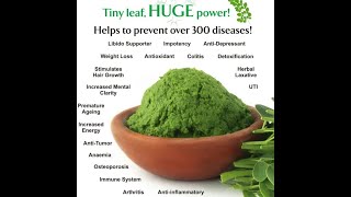 Facts about Moringa  Health and Medicinal Benefits of Malunggay [upl. by Buller197]