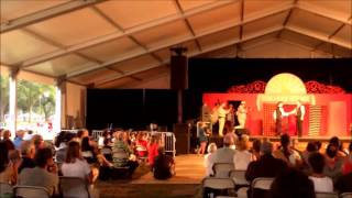 Hungarian Riot  At the Smithsonian Folklife Festival  Washington DC  6272013 [upl. by Cadel]