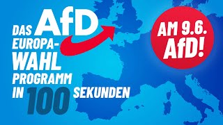 AfD Europawahlprogramm in 100 Sekunden [upl. by Martina920]