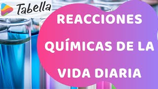 Reacciones químicas de la vida diaria  exotérmica y endotérmica [upl. by Annol]