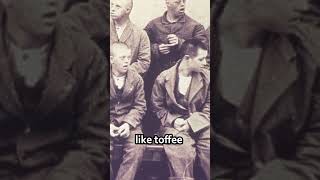 Swedens Horrifying Sugar Human experimentation shorts history historyfacts ancienthistory [upl. by Hsur]