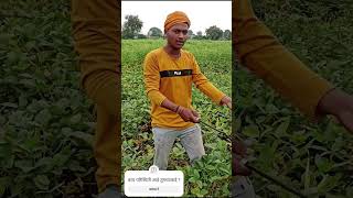 जय जवान जय किसान🙏👳शेतकरी shorts rending farmer explore more [upl. by Alyacim]