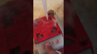 Destroying a Wheelock 7002T fire alarm [upl. by Loralie]