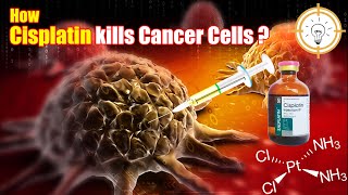 Cisplatin explained  Anticancer medicine  How does Cisplatin work  Concept1 [upl. by Dimitry]