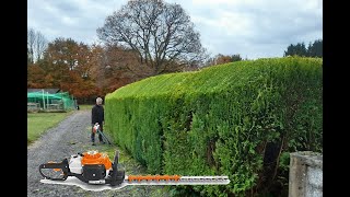 Taille de thuyas Juin 2022  Stihl HS82R amp KM130R [upl. by Kiri]