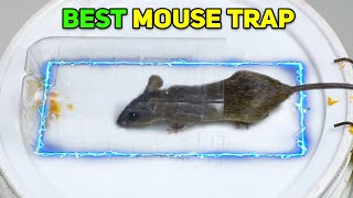 Best MouseRat Trap Bucket  Mouse in Trap  Mice TrapsMouse Trap Near Me  Mouse Catcher [upl. by Hermes]