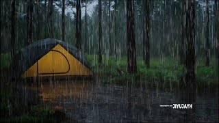 BEST RELAXING HEAVY RAIN amp THUNDERSORM ON TENT  AMBIENCE IN THE FOREST [upl. by Steinway]