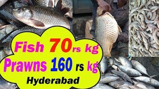 Hyderabad fish market  Musheerabad fish market  Wholesale fish market  Big fish market [upl. by Adiene879]