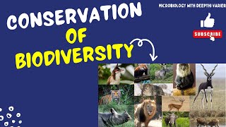 Conservation of Biodiversity  Threats to Biodiversity  EVS  Environmental Studies [upl. by Coralyn]