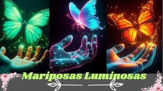 Mariposas luminosas 🦋 [upl. by Neemsay671]