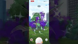 ✨I Caught THIS Shiny Shadow Pokemon in Pokemon Go✨ shorts pokemon [upl. by Martie]