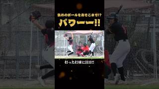 低めの球をここまで飛ばすなんて…凄すぎる！！！ソフトボール softball ホームラン 野球 shortvideo [upl. by Ovid232]