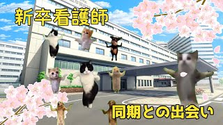 病院で勤務する新卒看護師の日常その２【猫ミーム】【猫マニ】 [upl. by Esinahs407]