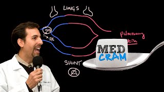 Shunting Explained Clearly Pulmonary Shunt [upl. by Trinette]