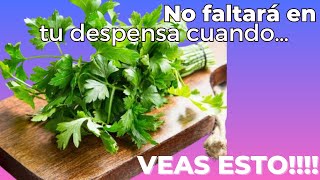 Perejil 5 Beneficios INCREÍBLES  Más Vitamina C que Naranjas [upl. by Rollecnahc460]