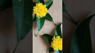 shorts Home decoration ideas 🌼  Flower decoration ideas homedecor flowerdecoration trending [upl. by Dlarrej284]