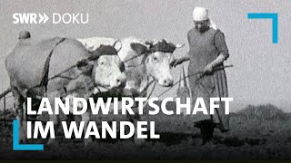 100 Jahre Landwirtschaft im Südwesten  Wie die Technik aufs Land kam  SWR Doku [upl. by Birdella]