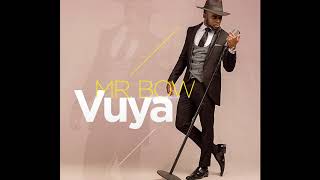 Mr Bow  Vuya Official Audio [upl. by Fredek]