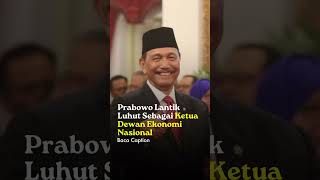 Masuk Pemerintahan Luhut Jadi Ketua Dewan Ekonomi Nasional di Kabinet Merah Putih [upl. by Yrovi834]