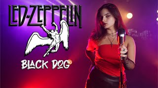 Black Dog Led Zeppelin by Rianna Rusu [upl. by Kcirrek480]