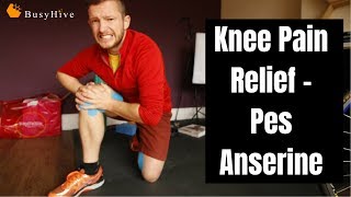 Pes Anserine Bursitis Best Exercises by Physical Therapists  Pes Anserine Bursitis Treatment [upl. by Yemrej]