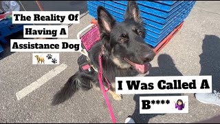 What It Is Really Like Out With My Assistance Dog  Vlog [upl. by Trab]