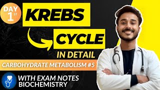 kreb cycle biochemistry  citric acid cycle biochemistry cycle carbohydrate metabolism biochemistry [upl. by Atinit]