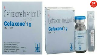 ceftriaxone injection  cefaxone 1g uses  ceftriaxone injection for gonorrhea [upl. by Hyacinthe]