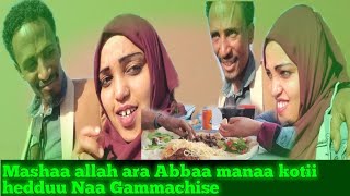 Araa Abbaa manaa kotii wajiin Iddoo bashanana olee hedduu takkaa Gammadee ♥♥♥♥🌹🌹🌹🌹🌹 [upl. by Gamali]