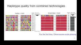 quotChromosomescale haplotyperesolved assemblyquot  Shilpa Garg IntroductionToPangenomics [upl. by Ahsinawt]