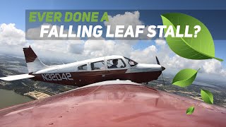 Falling Leaf Stall On A Checkout Flight… Try It [upl. by Eittam]