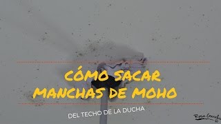 Cómo quitar manchas de moho [upl. by Marven]