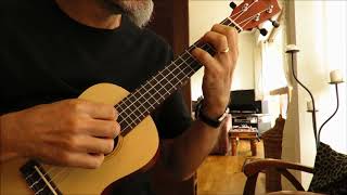 Planxty Irwin  Ukulele Campanella [upl. by Naegem]