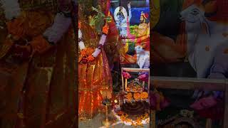 ytshorts trending shortsfeed shortsvideo flowers tulsivivah2024krishna [upl. by Maureene]